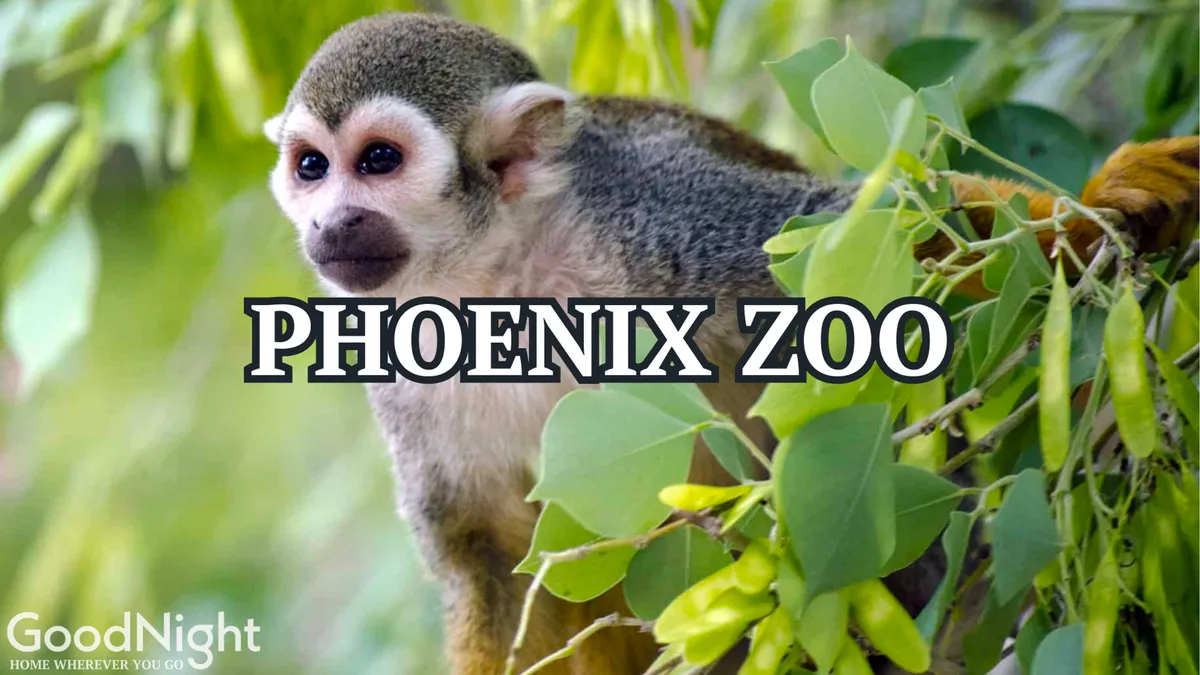 A playful squirrel monkey perched among lush green foliage in a vibrant, naturalistic environment, perfect for observing up-close animal behavior. The background suggests an immersive, family-friendly wildlife setting.