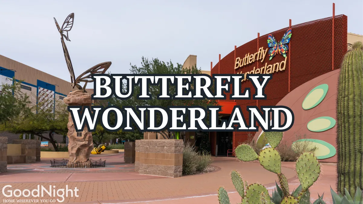 An exterior view of Butterfly Wonderland featuring a whimsical butterfly sculpture, the venue sign, desert plants, and inviting landscape elements. The scene feels magical and welcoming for families and children.